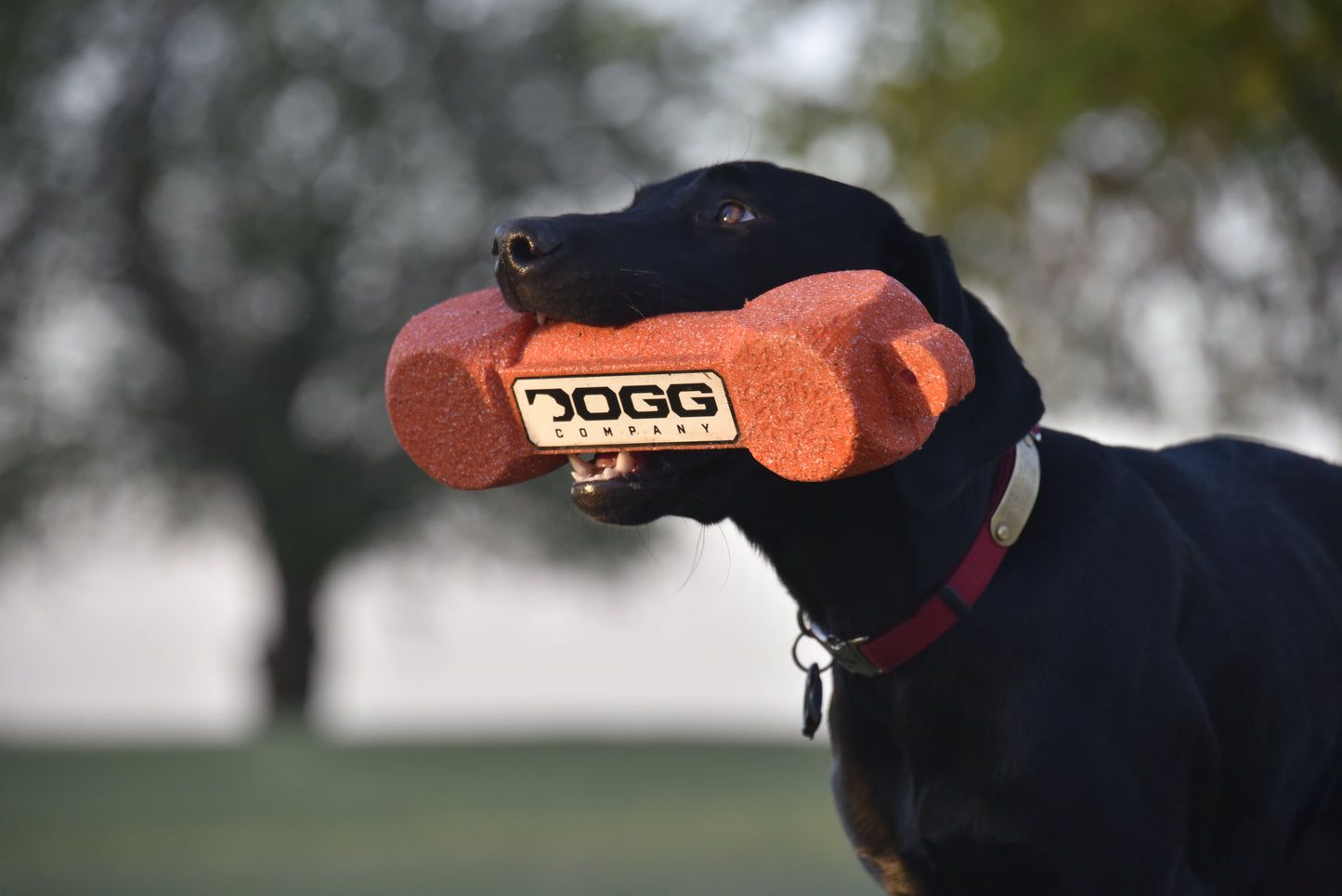 Dogg Bumper 3 pack